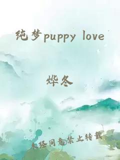 纯梦puppy love